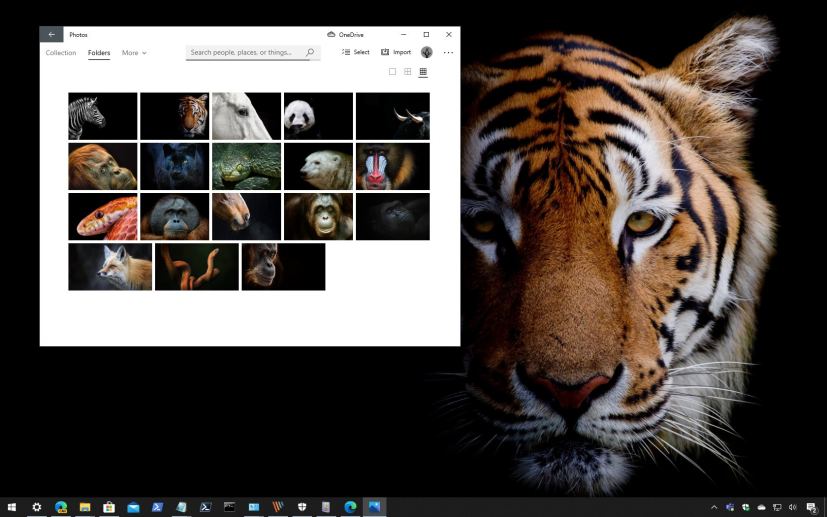 Animal Portraits theme for Windows 10