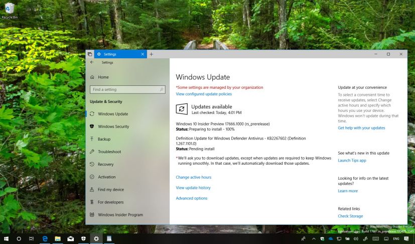 Windows 10 build 17666