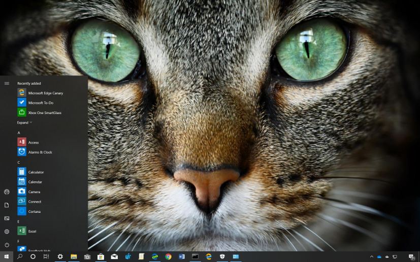 Cat Expressions theme for Windows 10