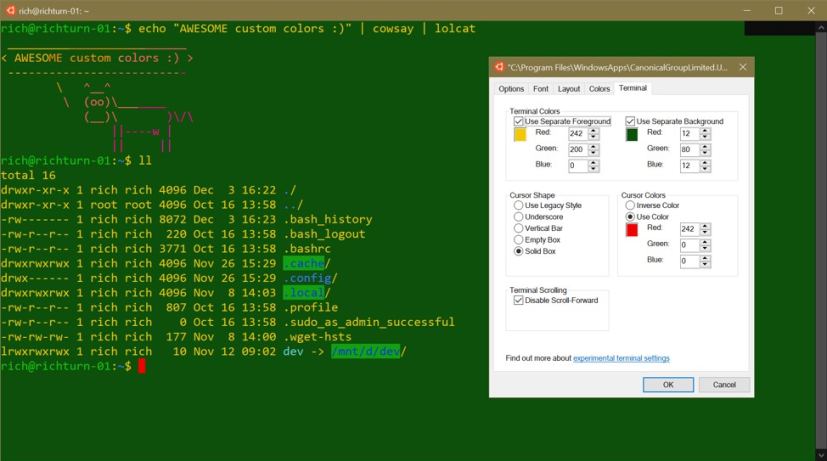 Terminal settings for consoles on Windows 10 version 1903