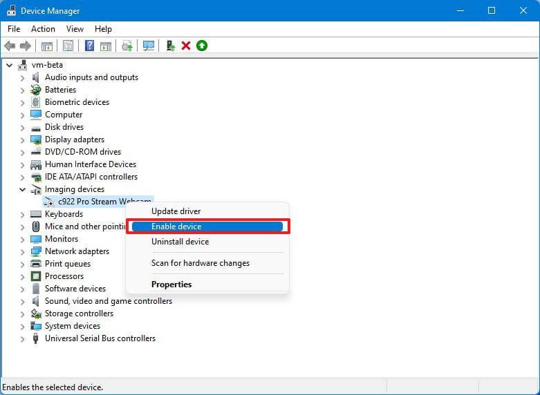 Device Manager enable camera option