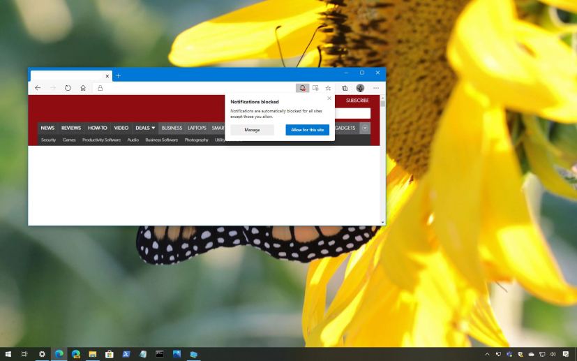 Microsoft Edge quiet notification requests enabled