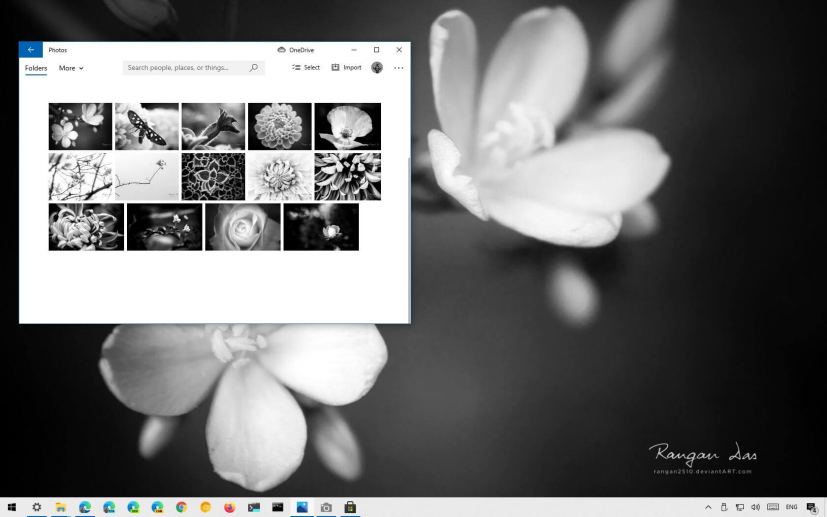 Floral Geometry theme