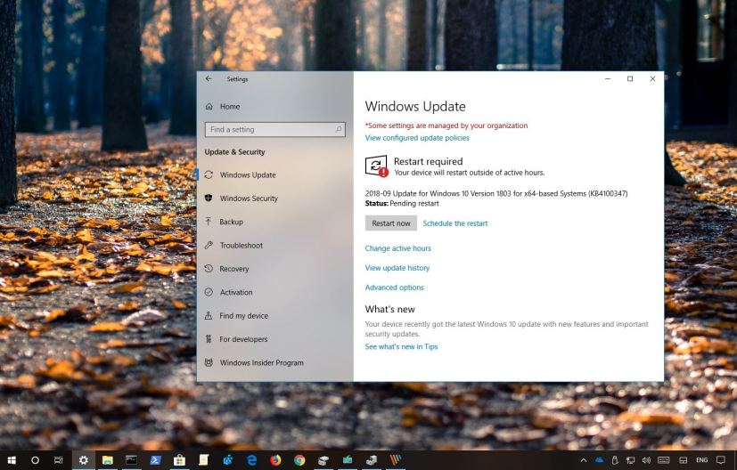 Windows 10 Update KB4458469
