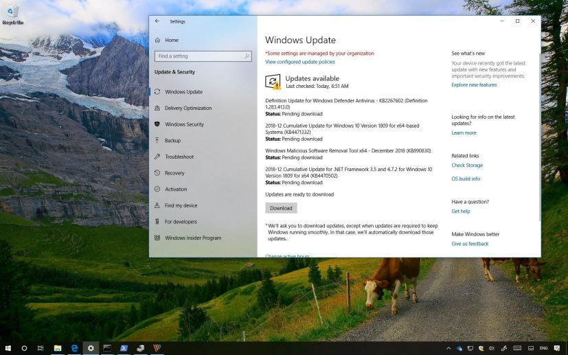 KB4471332 update for Windows 10 version 1809