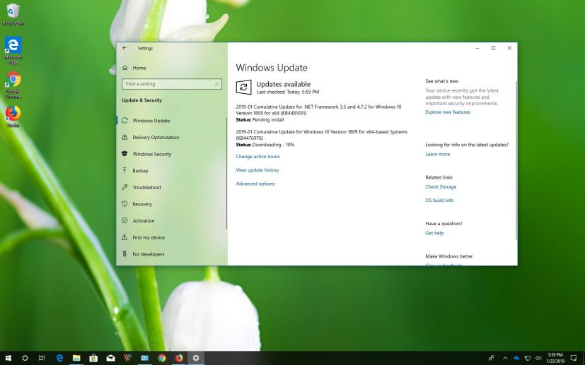 KB4476976 for Windows 10 version 1809, October 2018 Update