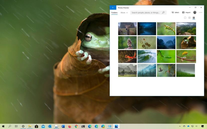 Monsoons theme for Windows 10