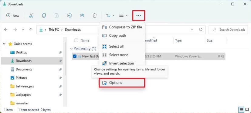 Windows 11 open Folder Options