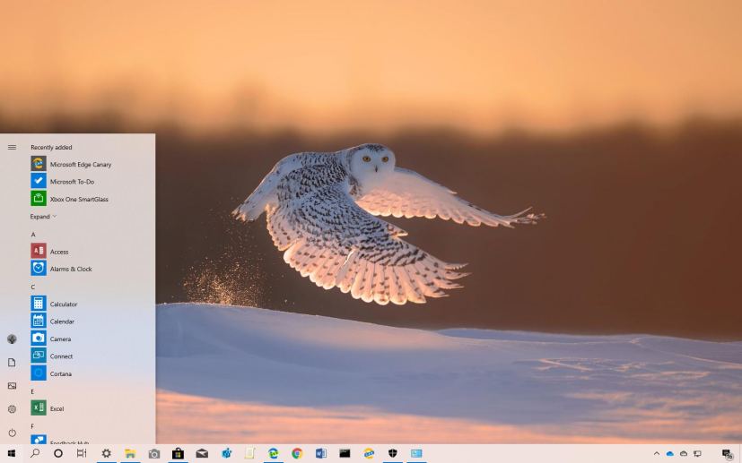 Polar Animals theme for Windows 10