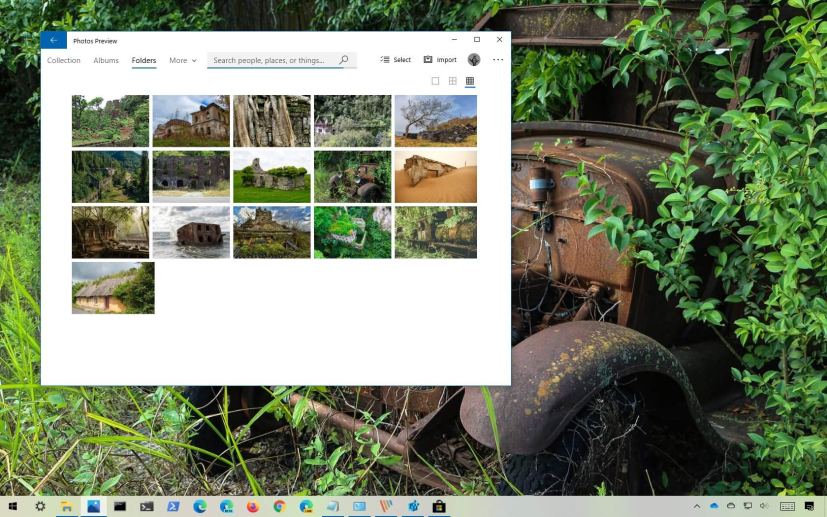 Reclaimed by Nature theme for Windows 10