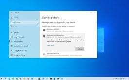 Windows Hello Fingerprint settings