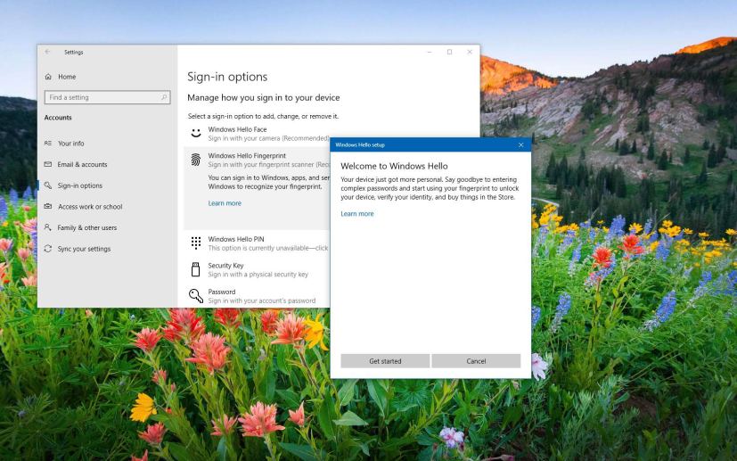 Windows Hello set up on Windows 10