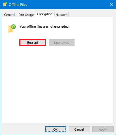 Offline Files encryption