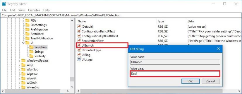 UIBranch regedit