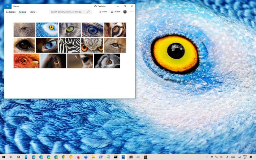 Wild Eyes theme for Windows 10