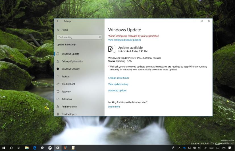 Windows 10 build 17733