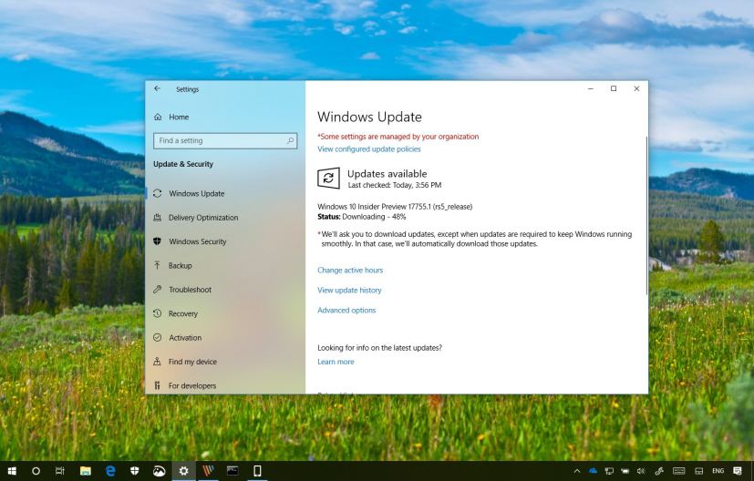 Windows 10 build 17755