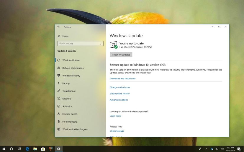 Windows 10 version 1803 to version 1903 auto-update