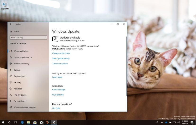 Windows 10 build 18234