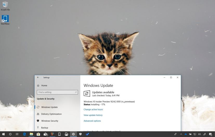 Windows 10 build 18242 (19H1)
