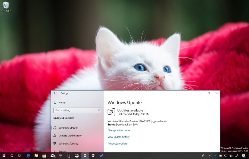 Windows 10 build 18247 for 19H1 (version 1903)