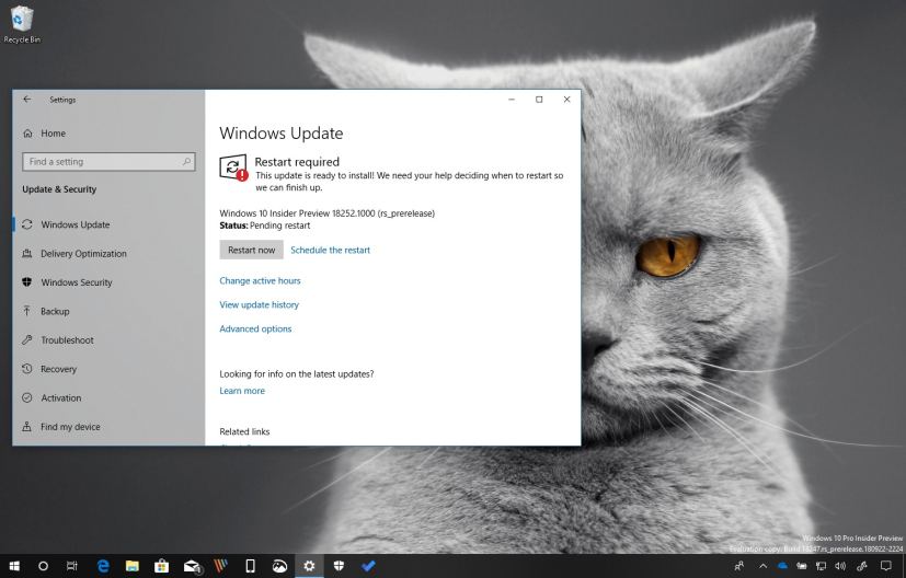 Windows 10 build 18252 new features