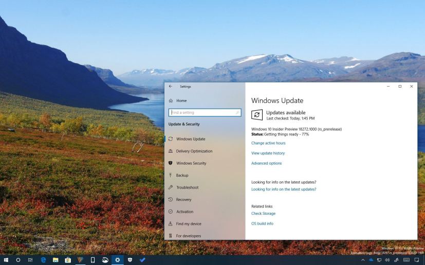 Windows 10 build 18272