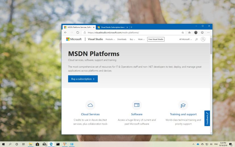 Windows 10 version 1909, November 2019 Update, ISO file download with MSDN