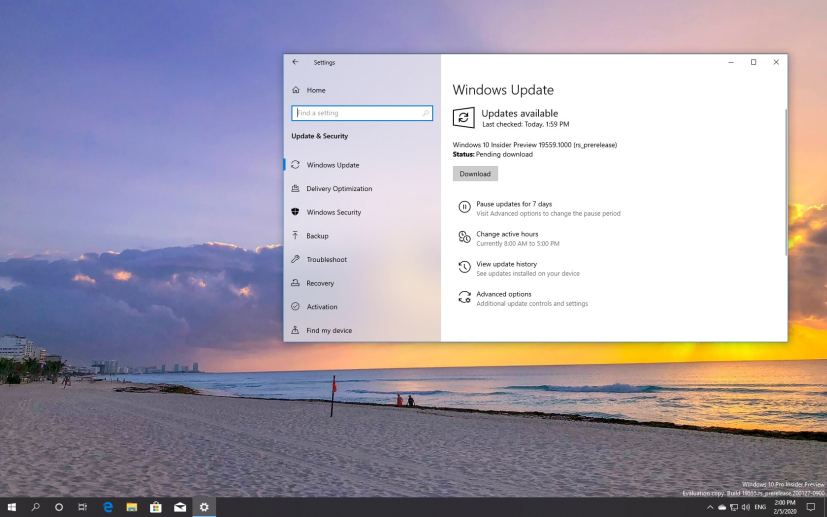Windows 10 build 19559 download