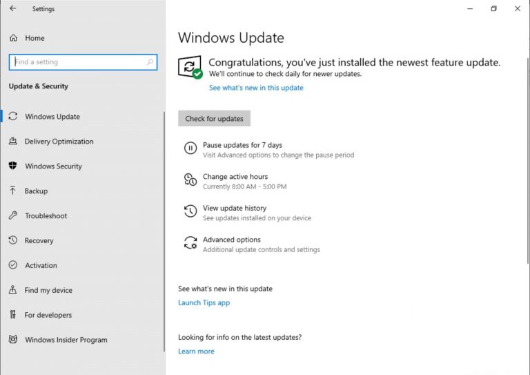 Windows 10 update settings on build 18282