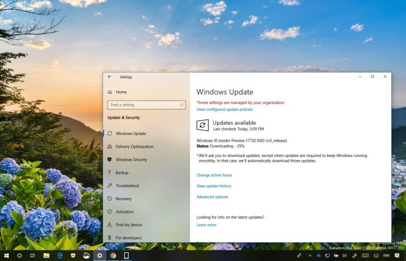Windows 10 build 17730