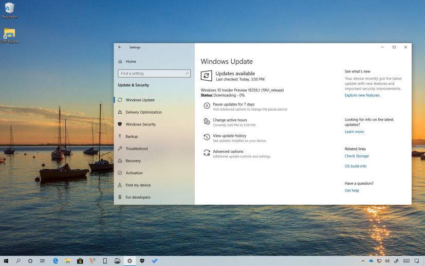 Windows 10 build 18356