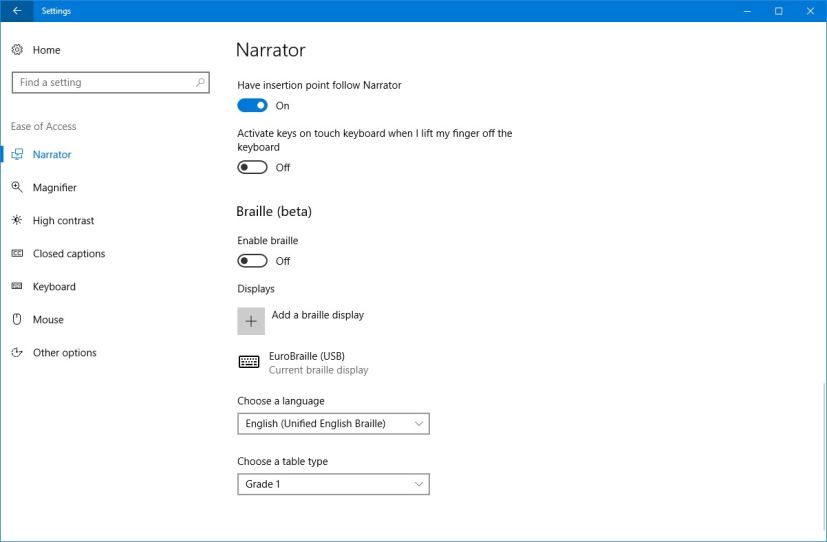 Ease of Access Braille settings