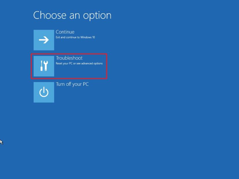 Windows 10 Recovery Environment troubleshoot option 