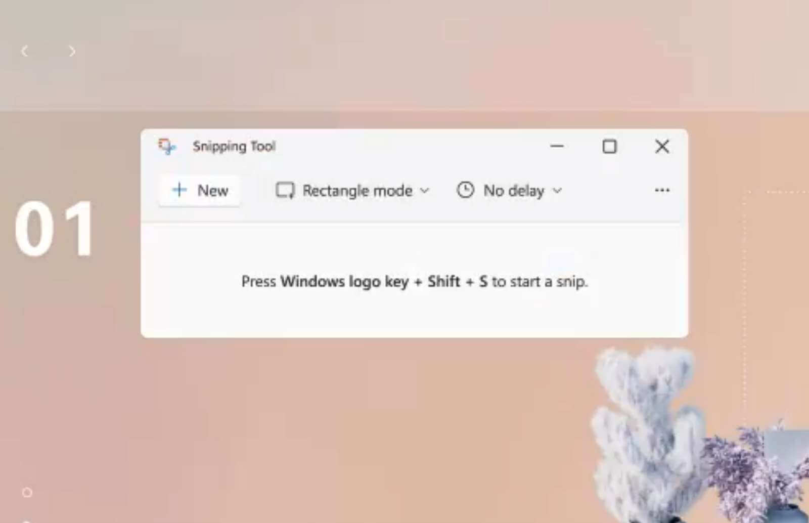 Windows 11 Snipping Tool