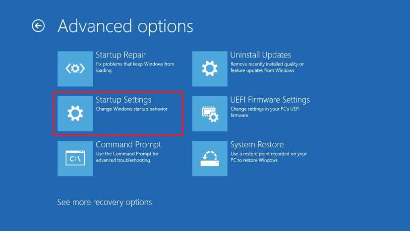 Windows 11 Startup Settings