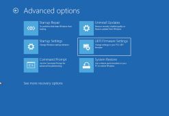 Windows 11 WinRE UEFI option