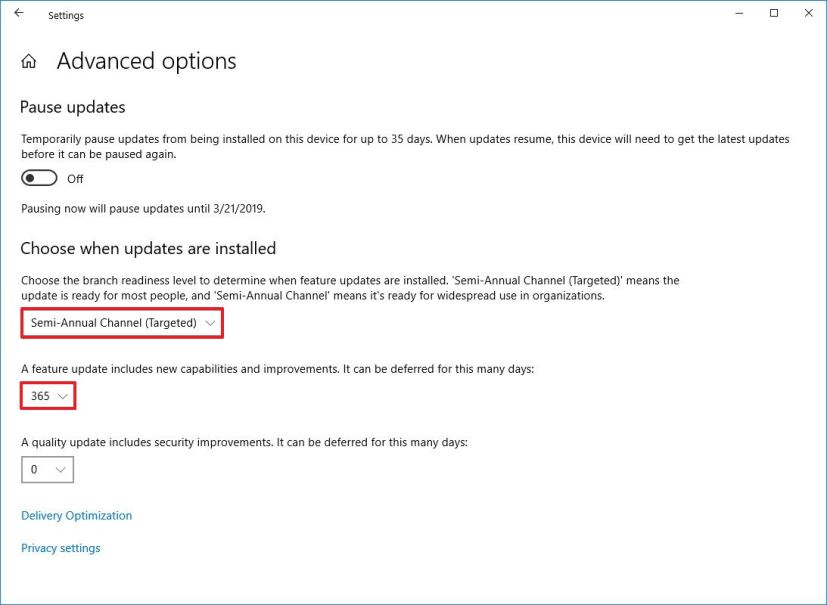  Windows Update advanced options to defer version 1903