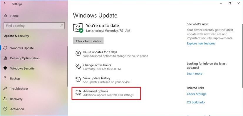 Windows Update settings with Advanced options