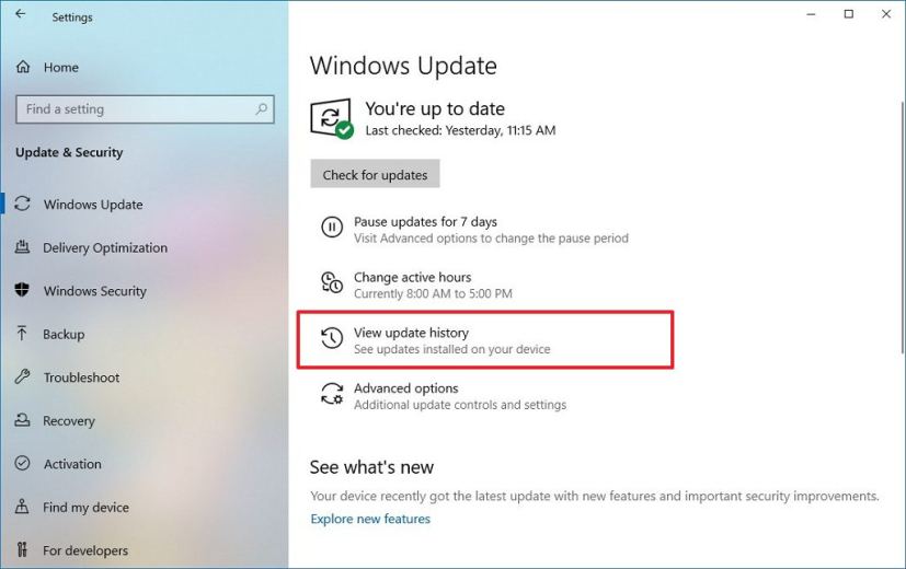 Windows Update settings with update history option selected