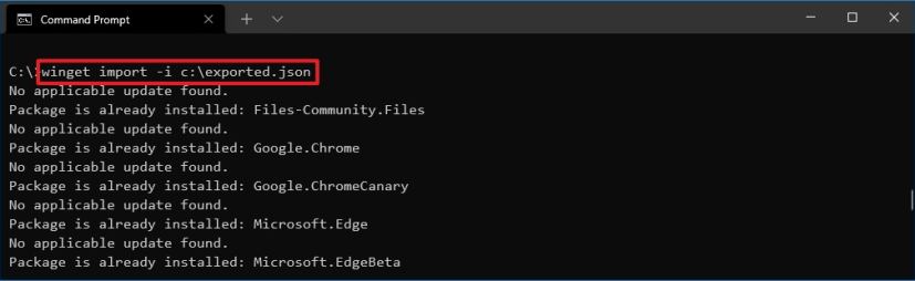 winget import command