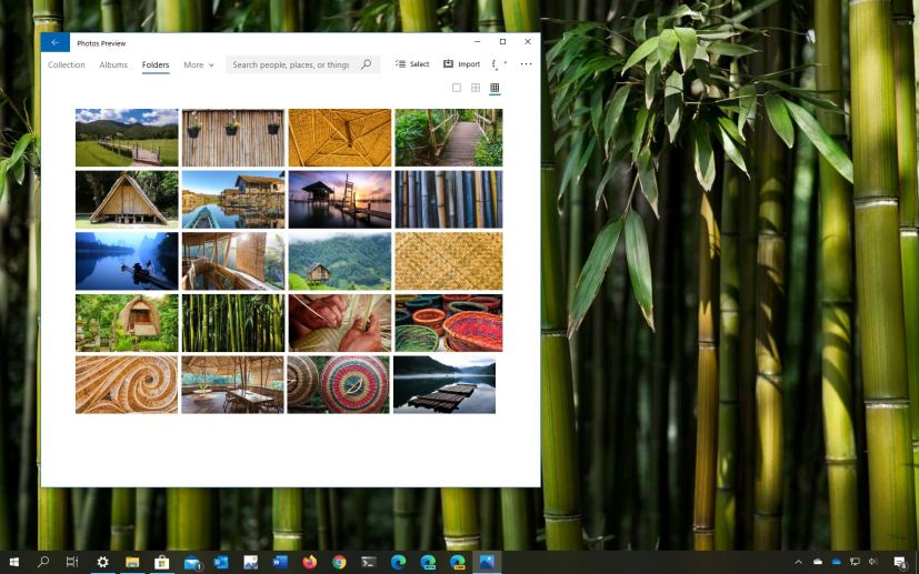 World of Bamboo theme for Windows 10
